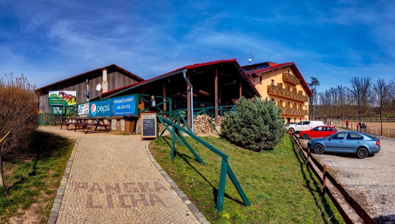 Hotel Panska Licha Brno Dış mekan fotoğraf